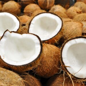 Unlocking the Export Potential of Indonesian Coconut Charcoal Briquettes